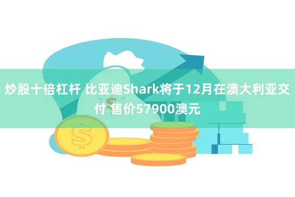 炒股十倍杠杆 比亚迪Shark将于12月在澳大利亚交付 售价57900澳元