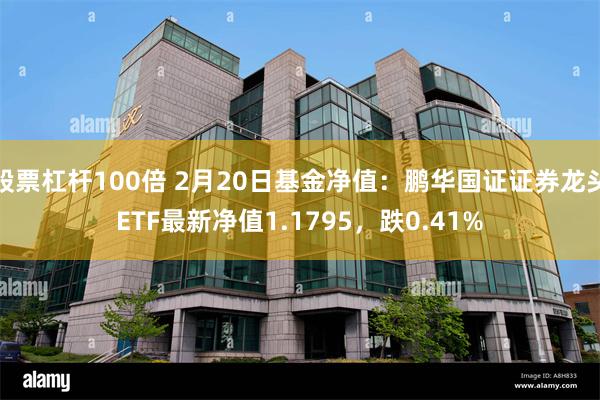 股票杠杆100倍 2月20日基金净值：鹏华国证证券龙头ETF最新净值1.1795，跌0.41%