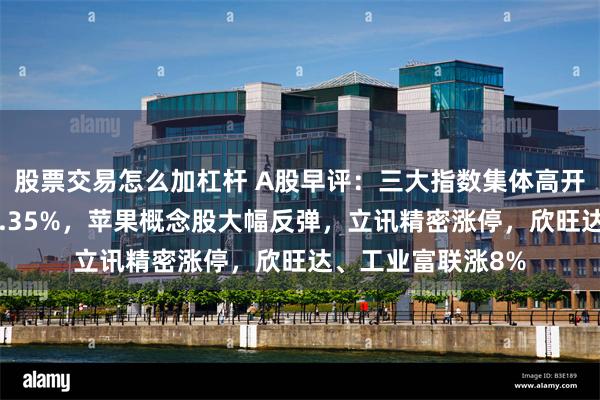 股票交易怎么加杠杆 A股早评：三大指数集体高开，创业板指高开3.35%，苹果概念股大幅反弹，立讯精密涨停，欣旺达、工业富联涨8%