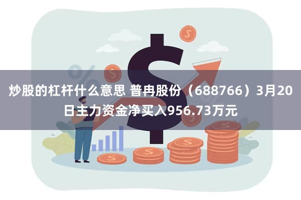 炒股的杠杆什么意思 普冉股份（688766）3月20日主力资金净买入956.73万元