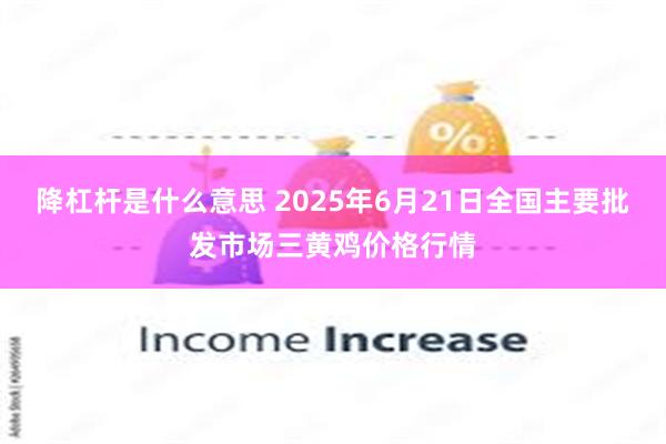 降杠杆是什么意思 2025年6月21日全国主要批发市场三黄鸡价格行情