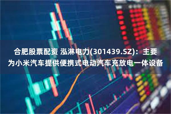合肥股票配资 泓淋电力(301439.SZ)：主要为小米汽车提供便携式电动汽车充放电一体设备