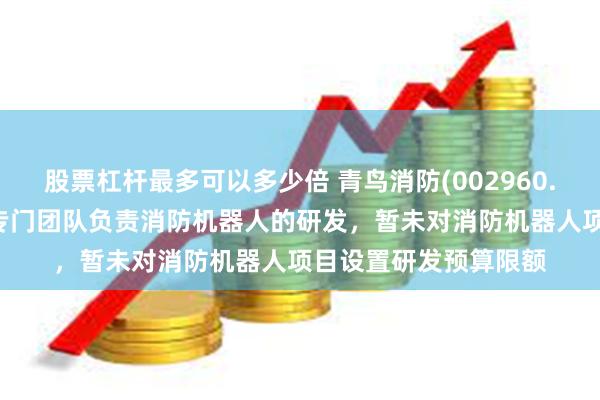 股票杠杆最多可以多少倍 青鸟消防(002960.SZ)：目前公司已有专门团队负责消防机器人的研发，暂未对消防机器人项目设置研发预算限额