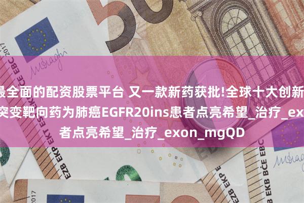 最全面的配资股票平台 又一款新药获批!全球十大创新EGFR20ins突变靶向药为肺癌EGFR20ins患者点亮希望_治疗_exon_mgQD